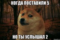 когда поставили 5 но ты услышал 2