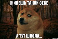 живешь такой себе а тут школа...