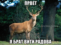 првет я брат вити радова