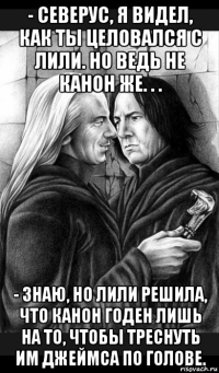 - северус, я видел, как ты целовался с лили. но ведь не канон же. . . - знаю, но лили решила, что канон годен лишь на то, чтобы треснуть им джеймса по голове.