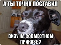 а ты точно поставил визу на совместном приказе ?