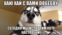 хаю хай с вами dogeguy сегодня мы испортим коту настроение