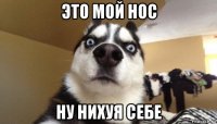 это мой нос ну нихуя себе