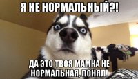 я не нормальный?! да это твоя мамка не нормальная, понял!