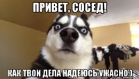 привет, сосед! как твои дела надеюсь ужасно:)