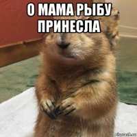 о мама рыбу принесла 