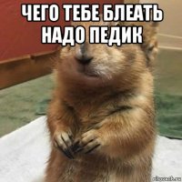 чего тебе блеать надо педик 