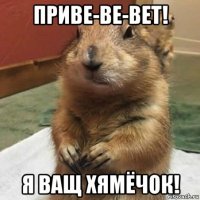 приве-ве-вет! я ващ хямёчок!