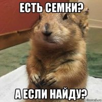 есть семки? а если найду?