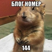 блог номер 144