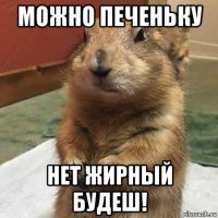 можно печеньку нет жирный будеш!