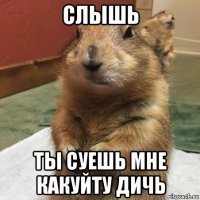 слышь ты суешь мне какуйту дичь