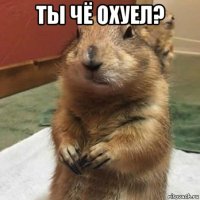 ты чё охуел? 