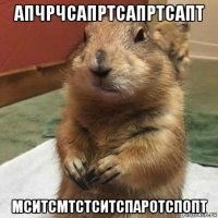 апчрчсапртсапртсапт мситсмтстситспаротспопт