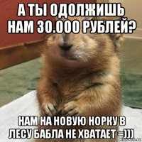 а ты одолжишь нам 30.000 рублей? нам на новую норку в лесу бабла не хватает =)))