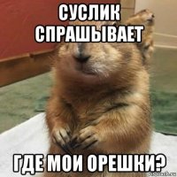 суслик спрашывает где мои орешки?