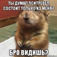 ты думал пситревел состоит только из меня? бро видишь?