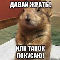 давай жрать! или тапок покусаю!