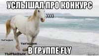 услышал про конкурс в группе fly