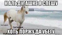 к альдугашке я спешу хоть поржу да убегу