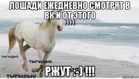 лошади ежедневно смотрят в вк и от этого ржут :-) !!!