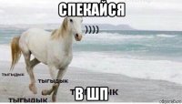 спекайся в шп