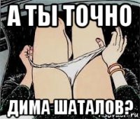 а ты точно дима шаталов?