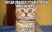 когда увидел что из твоей миски жрут wtf?