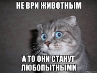 не ври животным а то они станут любопытными