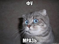 фу мразь