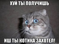 хуй ты получишь иш ты котика захотел!