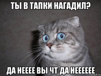 ты в тапки нагадил? да нееее вы чт да нееееее