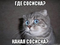 где сосиска? какая сосиска?