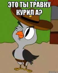 это ты травку курил а? 