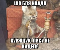 шо бля ннадо курящую лису не видел?