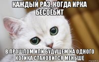 каждый раз, когда ирка бесоёбит в прошлом или будущем на одного котика становится меньше