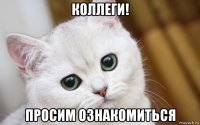 коллеги! просим ознакомиться