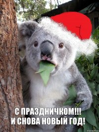 С праздничком!!!
И СНОВА НОВЫЙ ГОД!