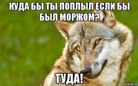 куда бы ты поплыл если бы был моржом? туда!