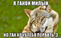 я такой милый но так хочу тебя порвать :3