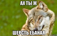 ах ты ж шерсть ебаная