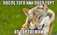 после того как поел торт от тортоежки