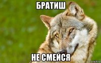 братиш не смейся