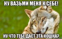 ну вазьми меня к себе! ну что тебе даст эта кошка?