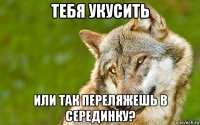 тебя укусить или так переляжешь в серединку?