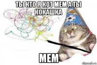 ты кто я кот мем а ты кокашка мем