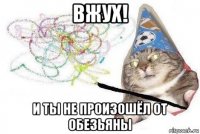 вжух! и ты не произошёл от обезьяны