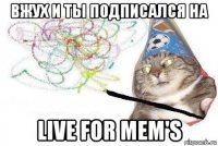 вжух и ты подписался на live for mem's