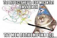 ты перестанешь тормозить! вжух вжух тут мои полномочия все