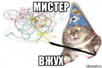 мистер вжух